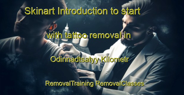 Skinart Introduction to start with tattoo removal in Odinnadtsatyy Kilometr | #RemovalTraining #RemovalClasses #SkinartTraining-Russia