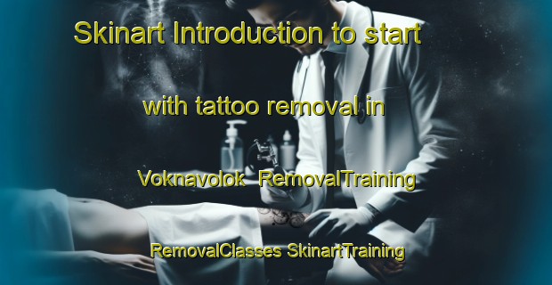 Skinart Introduction to start with tattoo removal in Voknavolok | #RemovalTraining #RemovalClasses #SkinartTraining-Russia