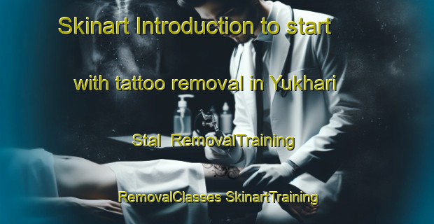 Skinart Introduction to start with tattoo removal in Yukhari Stal | #RemovalTraining #RemovalClasses #SkinartTraining-Russia