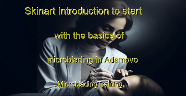 Skinart Introduction to start with the basics of microblading in Adamovo | MicrobladingTraining | MicrobladingClasses | SkinartTraining-Russia