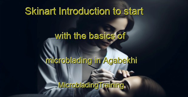 Skinart Introduction to start with the basics of microblading in Agabekhi | MicrobladingTraining | MicrobladingClasses | SkinartTraining-Russia