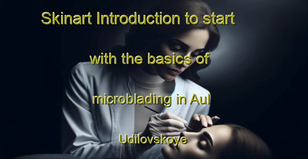 Skinart Introduction to start with the basics of microblading in Aul Udilovskoye | MicrobladingTraining | MicrobladingClasses | SkinartTraining-Russia
