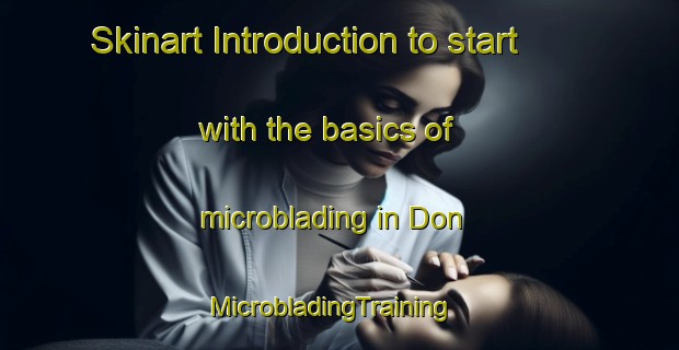 Skinart Introduction to start with the basics of microblading in Don | MicrobladingTraining | MicrobladingClasses | SkinartTraining-Russia
