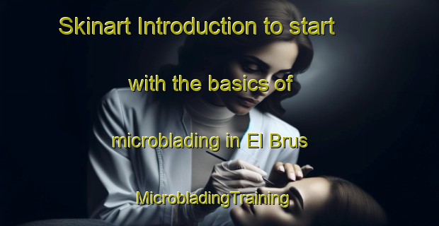 Skinart Introduction to start with the basics of microblading in El Brus | MicrobladingTraining | MicrobladingClasses | SkinartTraining-Russia