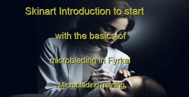 Skinart Introduction to start with the basics of microblading in Fyrkal | MicrobladingTraining | MicrobladingClasses | SkinartTraining-Russia