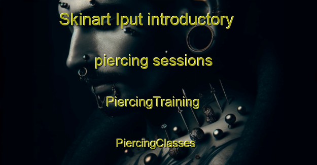 Skinart Iput introductory piercing sessions | PiercingTraining | PiercingClasses | SkinartTraining-Russia