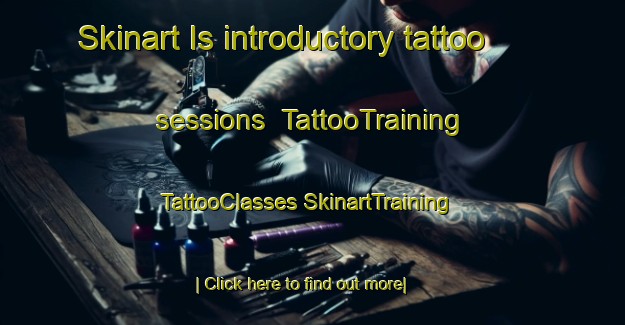 Skinart Is introductory tattoo sessions | #TattooTraining #TattooClasses #SkinartTraining-Russia