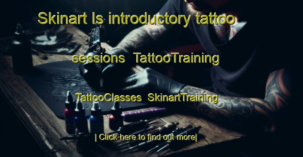 Skinart Is introductory tattoo sessions | TattooTraining | TattooClasses | SkinartTraining-Russia