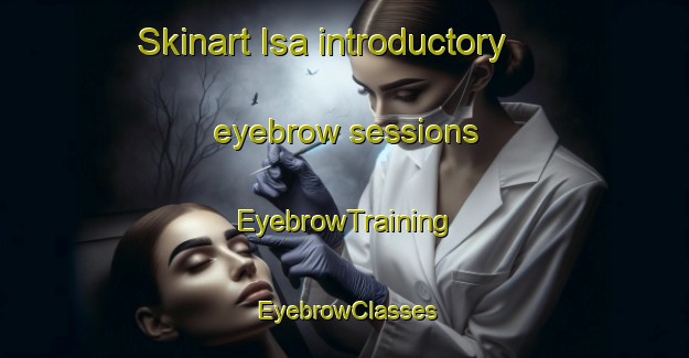 Skinart Isa introductory eyebrow sessions | EyebrowTraining | EyebrowClasses | SkinartTraining-Russia
