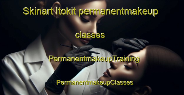 Skinart Itokit permanentmakeup classes | PermanentmakeupTraining | PermanentmakeupClasses | SkinartTraining-Russia