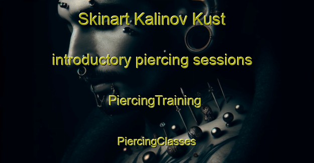 Skinart Kalinov Kust introductory piercing sessions | #PiercingTraining #PiercingClasses #SkinartTraining-Russia