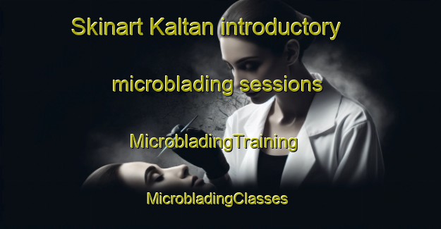 Skinart Kaltan introductory microblading sessions | MicrobladingTraining | MicrobladingClasses | SkinartTraining-Russia
