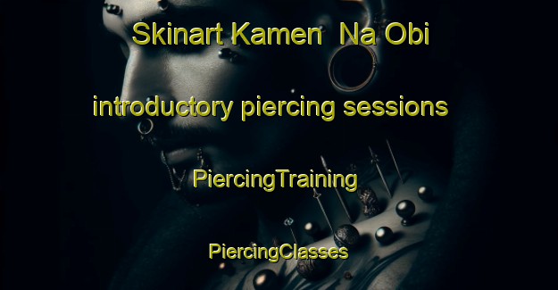 Skinart Kamen  Na Obi introductory piercing sessions | #PiercingTraining #PiercingClasses #SkinartTraining-Russia