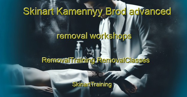 Skinart Kamennyy Brod advanced removal workshops | #RemovalTraining #RemovalClasses #SkinartTraining-Russia