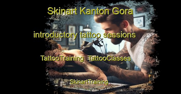 Skinart Kanton Gora introductory tattoo sessions | TattooTraining | TattooClasses | SkinartTraining-Russia