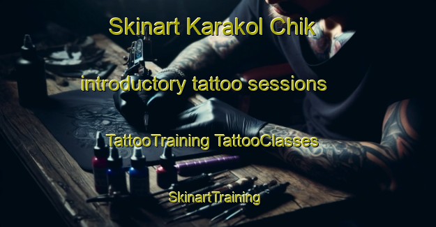 Skinart Karakol Chik introductory tattoo sessions | #TattooTraining #TattooClasses #SkinartTraining-Russia