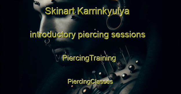 Skinart Karrinkyulya introductory piercing sessions | #PiercingTraining #PiercingClasses #SkinartTraining-Russia