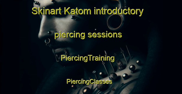 Skinart Katom introductory piercing sessions | PiercingTraining | PiercingClasses | SkinartTraining-Russia