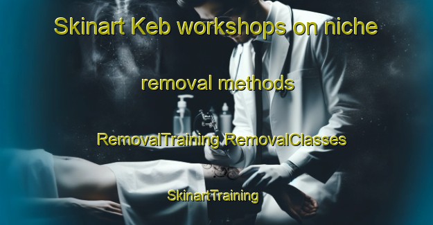 Skinart Keb workshops on niche removal methods | #RemovalTraining #RemovalClasses #SkinartTraining-Russia