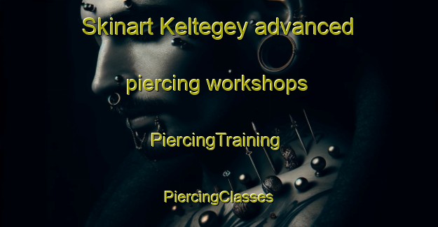 Skinart Keltegey advanced piercing workshops | #PiercingTraining #PiercingClasses #SkinartTraining-Russia