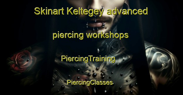 Skinart Keltegey advanced piercing workshops | PiercingTraining | PiercingClasses | SkinartTraining-Russia