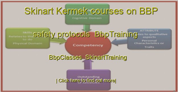 Skinart Kermek courses on BBP safety protocols | BbpTraining | BbpClasses | SkinartTraining-Russia