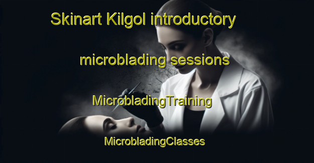Skinart Kilgol introductory microblading sessions | MicrobladingTraining | MicrobladingClasses | SkinartTraining-Russia