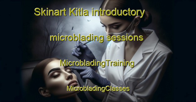 Skinart Kitla introductory microblading sessions | #MicrobladingTraining #MicrobladingClasses #SkinartTraining-Russia