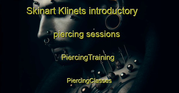 Skinart Klinets introductory piercing sessions | #PiercingTraining #PiercingClasses #SkinartTraining-Russia