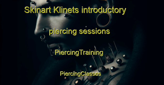 Skinart Klinets introductory piercing sessions | PiercingTraining | PiercingClasses | SkinartTraining-Russia