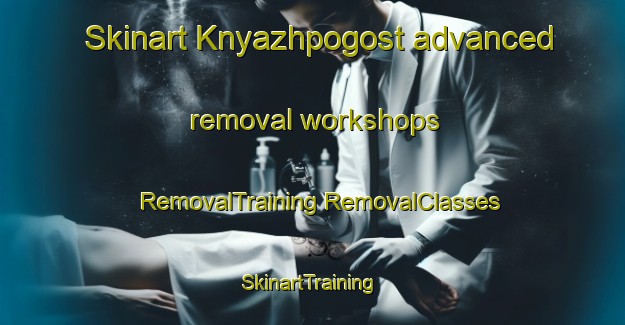 Skinart Knyazhpogost advanced removal workshops | #RemovalTraining #RemovalClasses #SkinartTraining-Russia