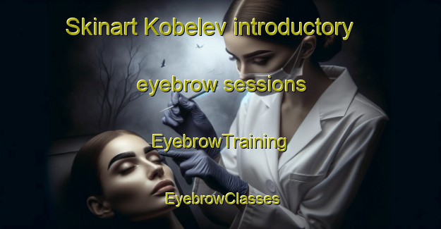 Skinart Kobelev introductory eyebrow sessions | EyebrowTraining | EyebrowClasses | SkinartTraining-Russia
