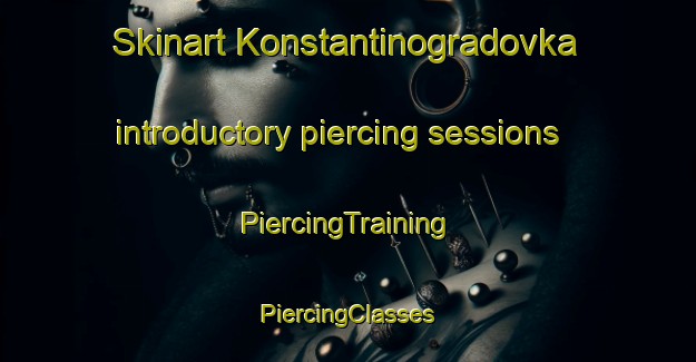 Skinart Konstantinogradovka introductory piercing sessions | #PiercingTraining #PiercingClasses #SkinartTraining-Russia