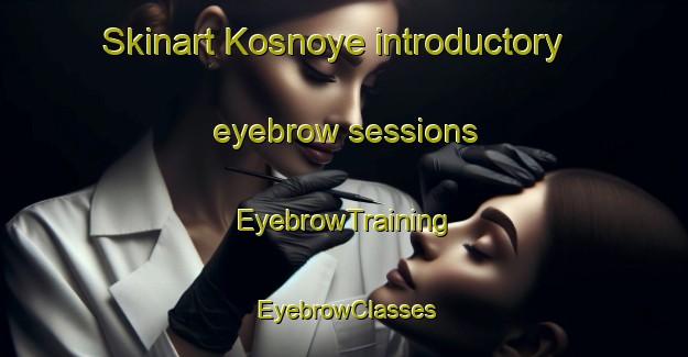 Skinart Kosnoye introductory eyebrow sessions | EyebrowTraining | EyebrowClasses | SkinartTraining-Russia