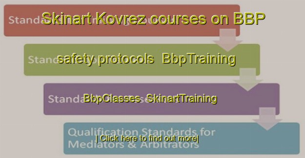 Skinart Kovrez courses on BBP safety protocols | BbpTraining | BbpClasses | SkinartTraining-Russia