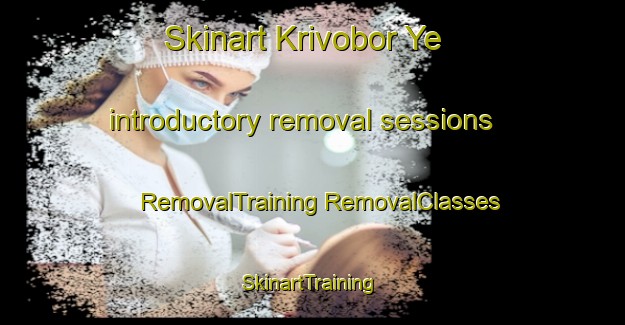 Skinart Krivobor Ye introductory removal sessions | #RemovalTraining #RemovalClasses #SkinartTraining-Russia