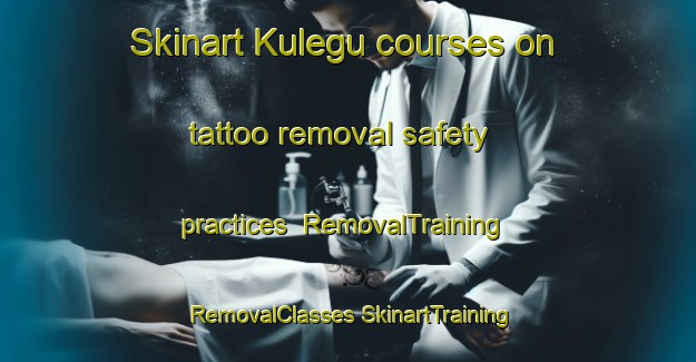 Skinart Kulegu courses on tattoo removal safety practices | #RemovalTraining #RemovalClasses #SkinartTraining-Russia