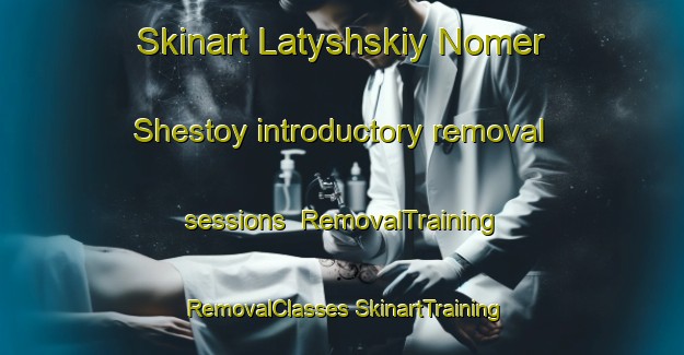 Skinart Latyshskiy Nomer Shestoy introductory removal sessions | #RemovalTraining #RemovalClasses #SkinartTraining-Russia