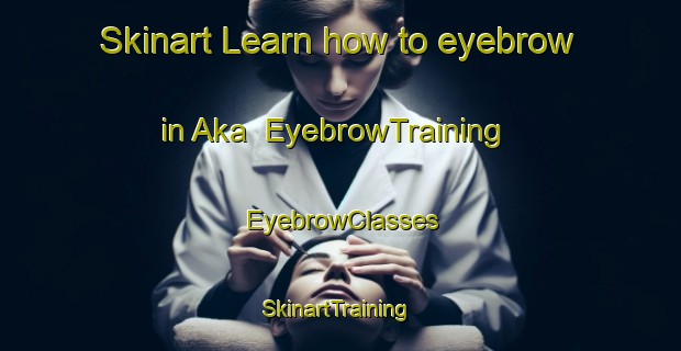 Skinart Learn how to eyebrow in Aka | EyebrowTraining | EyebrowClasses | SkinartTraining-Russia