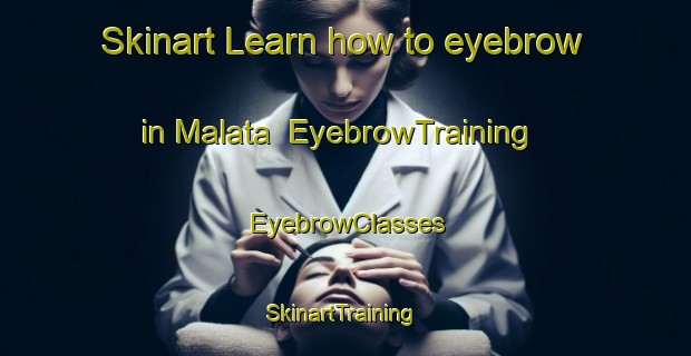 Skinart Learn how to eyebrow in Malata | EyebrowTraining | EyebrowClasses | SkinartTraining-Russia