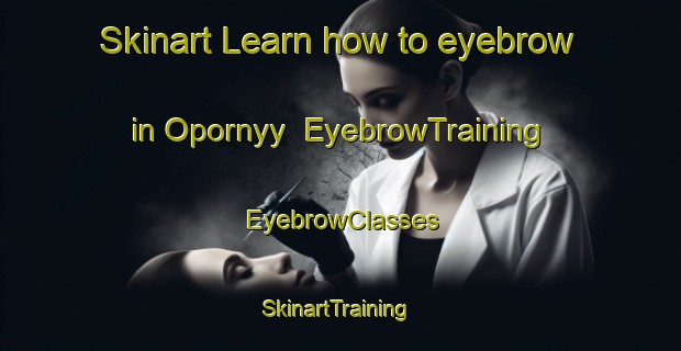 Skinart Learn how to eyebrow in Opornyy | EyebrowTraining | EyebrowClasses | SkinartTraining-Russia