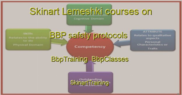 Skinart Lemeshki courses on BBP safety protocols | BbpTraining | BbpClasses | SkinartTraining-Russia