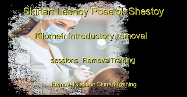 Skinart Lesnoy Poselok Shestoy Kilometr introductory removal sessions | #RemovalTraining #RemovalClasses #SkinartTraining-Russia