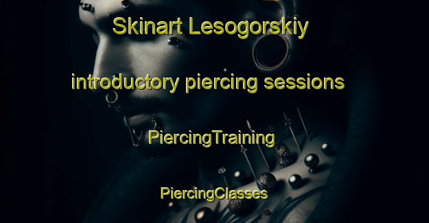 Skinart Lesogorskiy introductory piercing sessions | #PiercingTraining #PiercingClasses #SkinartTraining-Russia