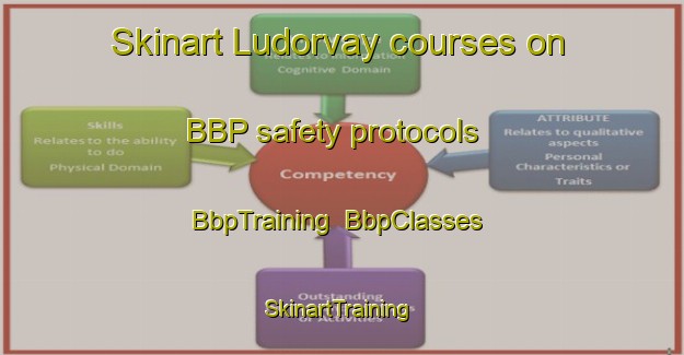 Skinart Ludorvay courses on BBP safety protocols | BbpTraining | BbpClasses | SkinartTraining-Russia