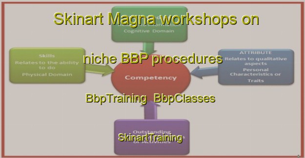 Skinart Magna workshops on niche BBP procedures | BbpTraining | BbpClasses | SkinartTraining-Russia