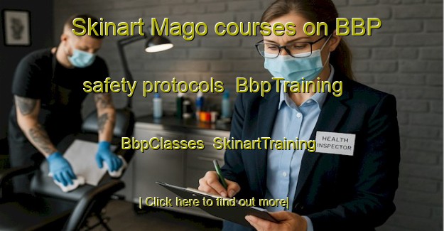Skinart Mago courses on BBP safety protocols | BbpTraining | BbpClasses | SkinartTraining-Russia