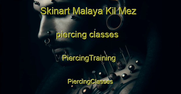 Skinart Malaya Kil Mez piercing classes | #PiercingTraining #PiercingClasses #SkinartTraining-Russia