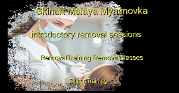 Skinart Malaya Myasnovka introductory removal sessions | #RemovalTraining #RemovalClasses #SkinartTraining-Russia