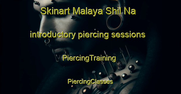 Skinart Malaya Shil Na introductory piercing sessions | #PiercingTraining #PiercingClasses #SkinartTraining-Russia